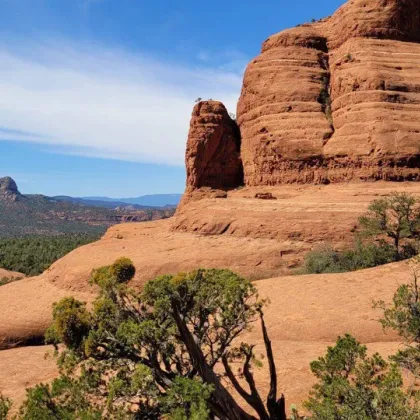 Mesa